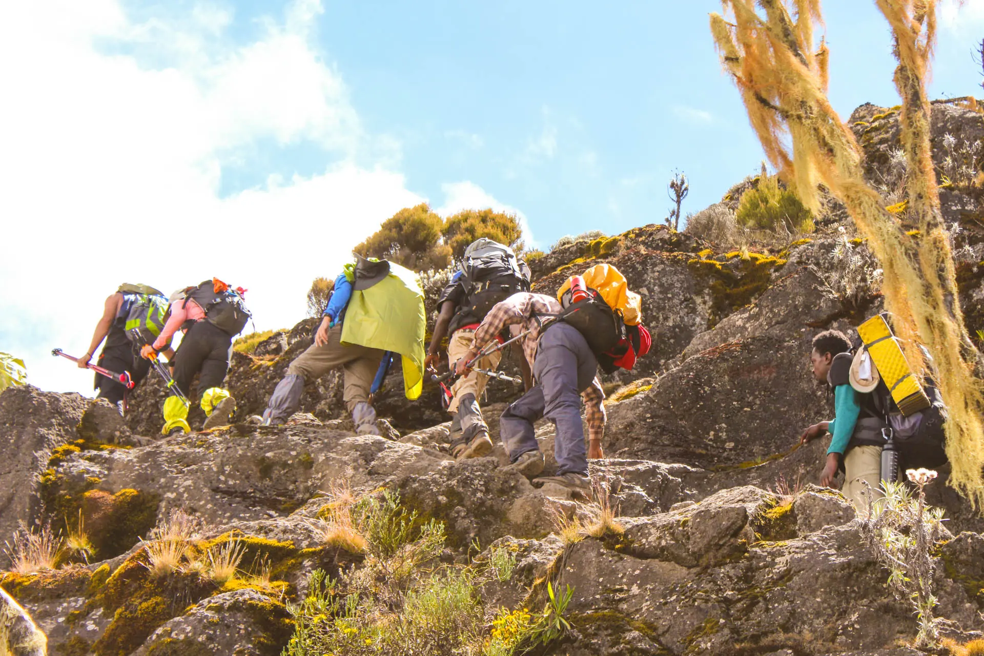 7-Days-Machame-Route